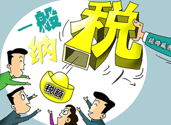 一般納稅人有哪些稅率以及稅率適用的范圍_護(hù)航財稅